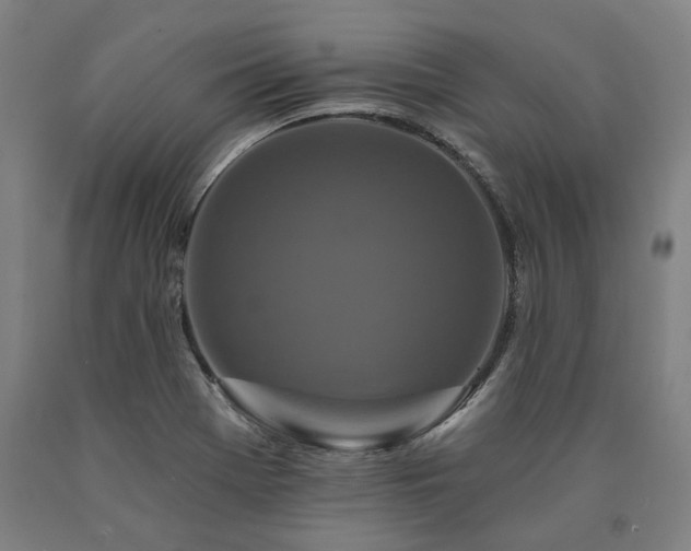 X0000090911369200707301425