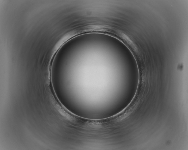X0000090911370200707301425