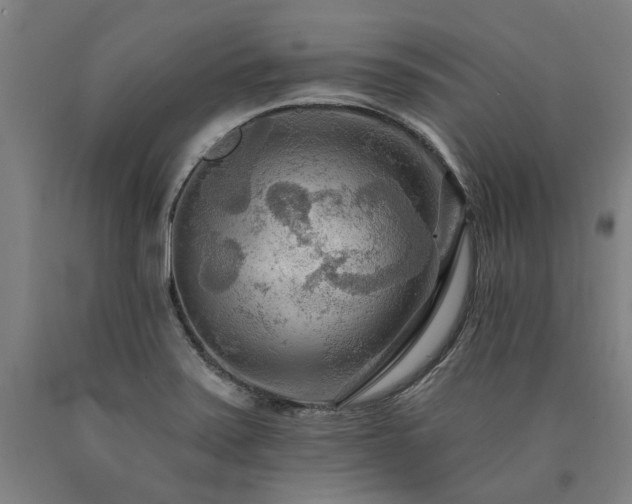 X0000090911371200707301425