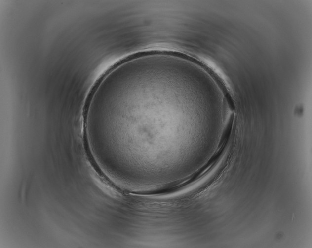 X0000090911372200707301425