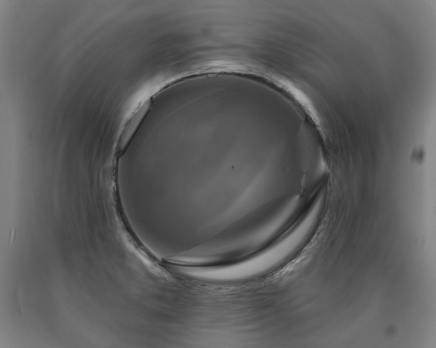 X0000090911373200707301425