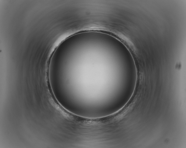 X0000090911374200707301425