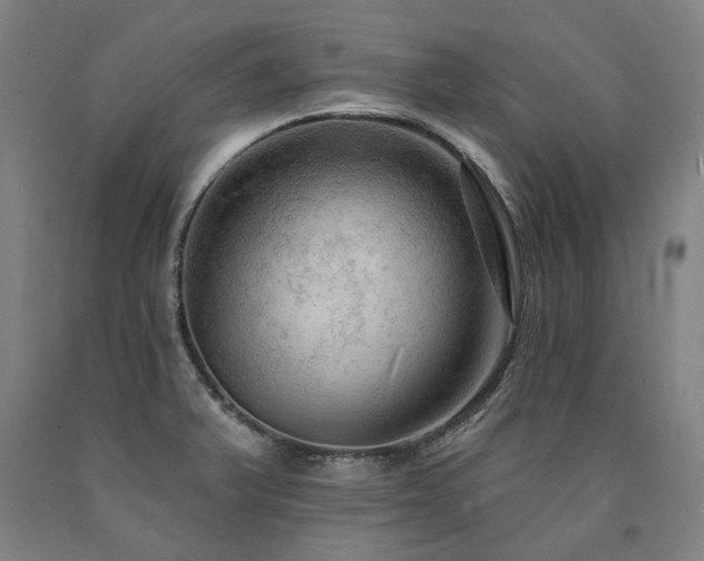 X0000090911375200707301425