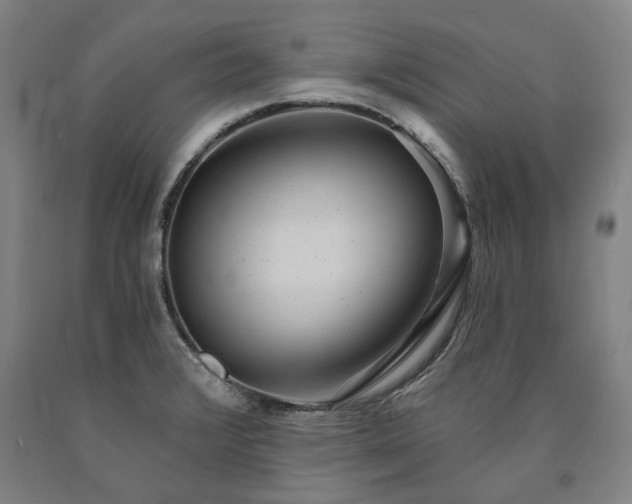 X0000090911376200707301425