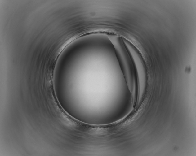 X0000090911377200707301425