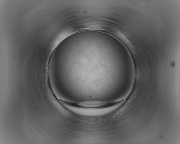 X0000090911378200707301425