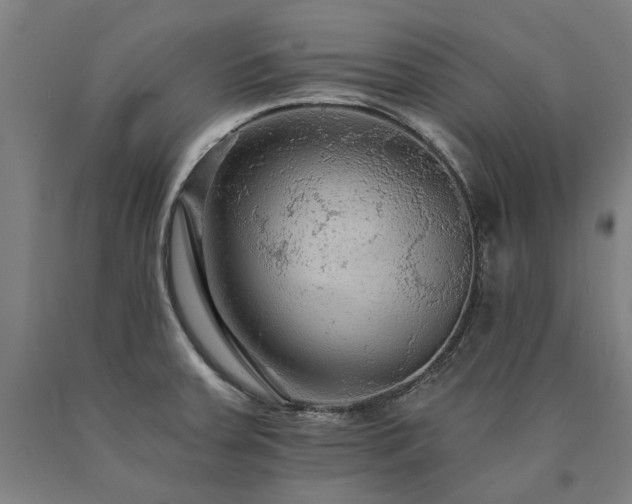 X0000090911379200707301425