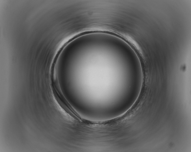 X0000090911380200707301425