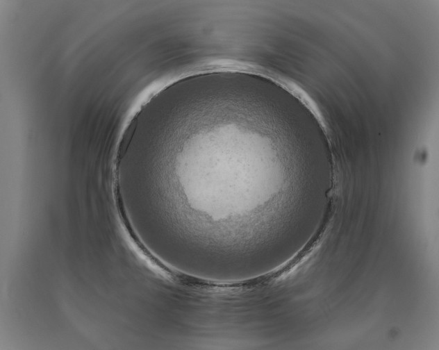X0000090911381200707301425