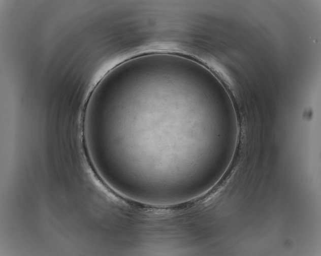 X0000090911382200707301425