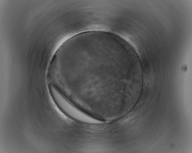 X0000090911383200707301425