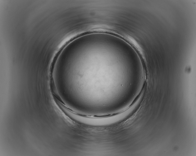 X0000090911384200707301425