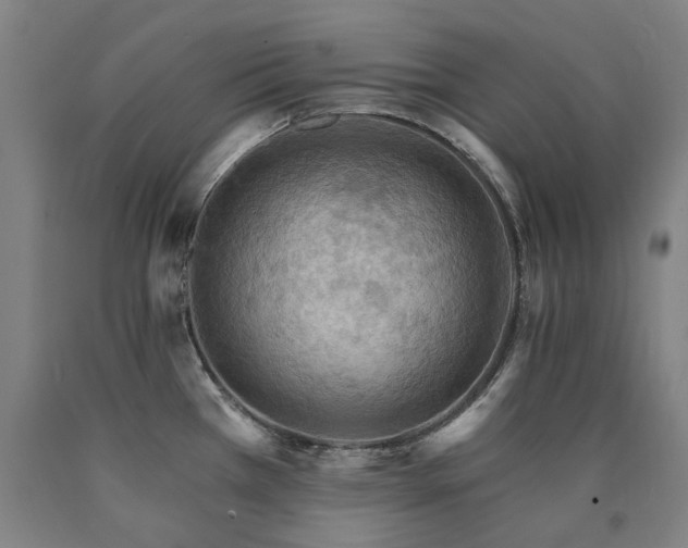 X0000090911385200707301425