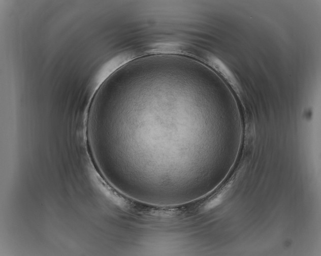 X0000090911386200707301425