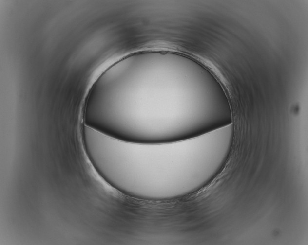 X0000090911387200707301425