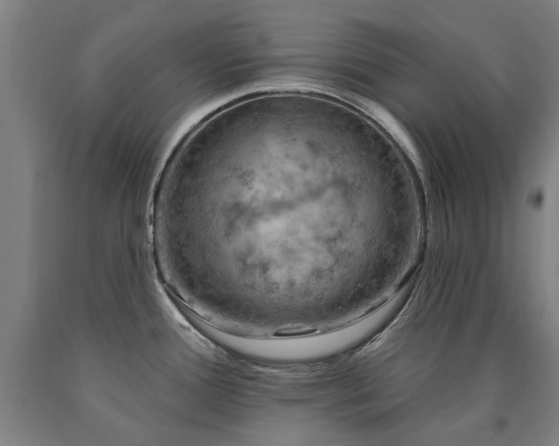 X0000090911388200707301425