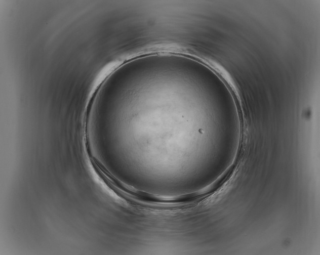 X0000090911389200707301425