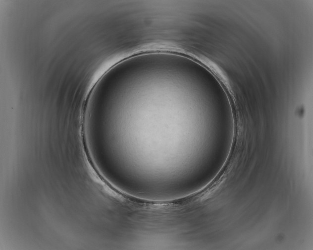 X0000090911390200707301425