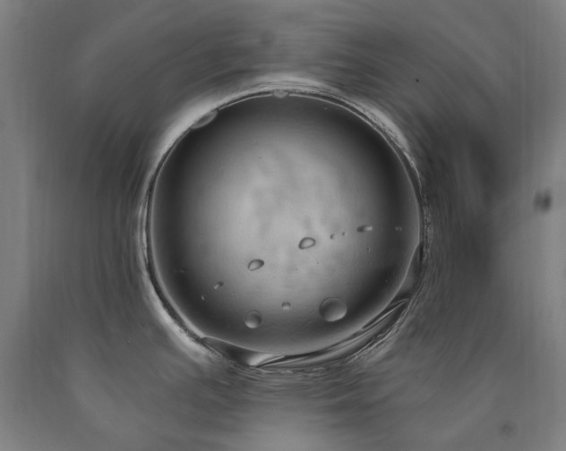 X0000090911391200707301425