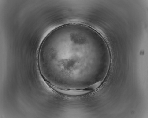 X0000090911392200707301425