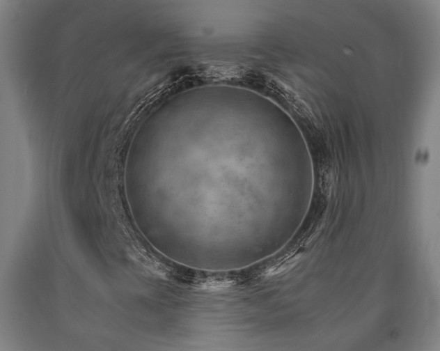 X0000090911393200707301424