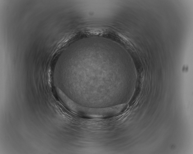 X0000090911394200707301424
