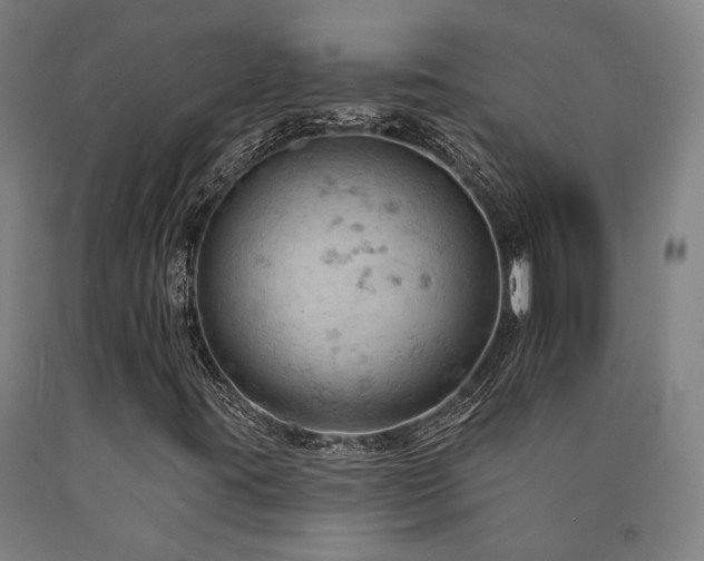X0000090911395200707301424