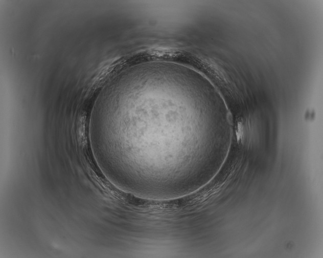 X0000090911396200707301424