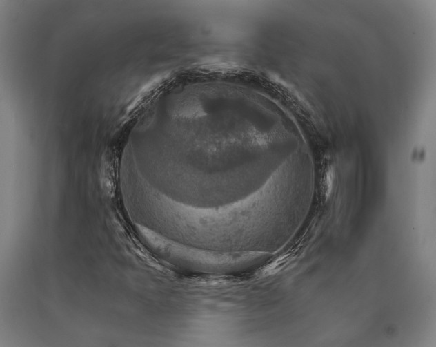 X0000090911397200707301424