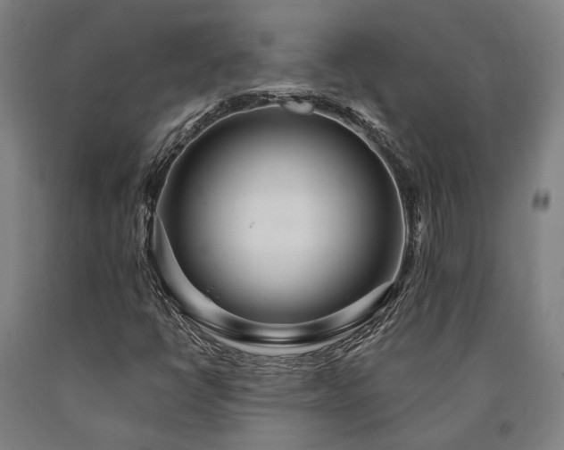 X0000090911398200707301424