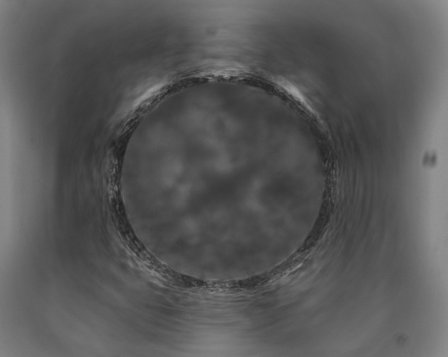 X0000090911399200707301424