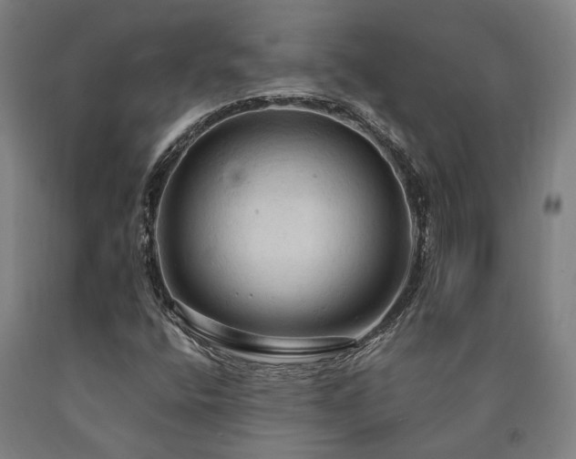 X0000090911400200707301424