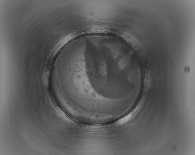 X0000090911401200707301424