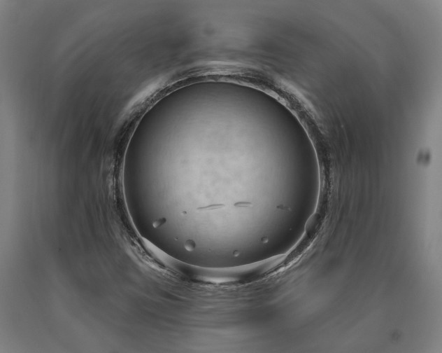 X0000090911403200707301424