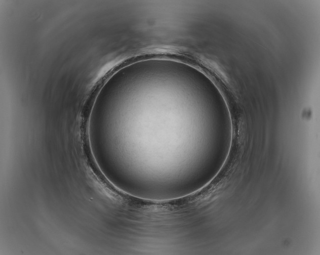 X0000090911404200707301424