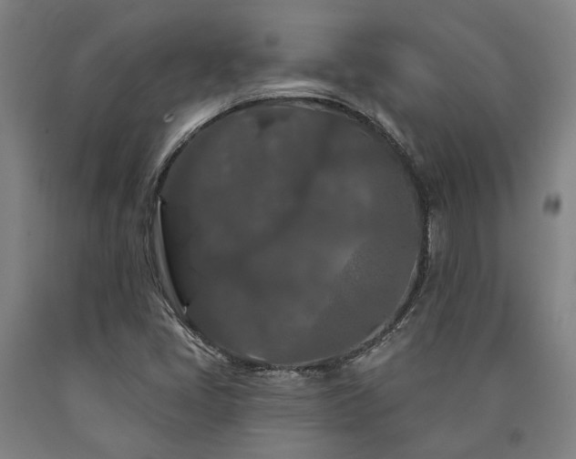 X0000090911405200707301424