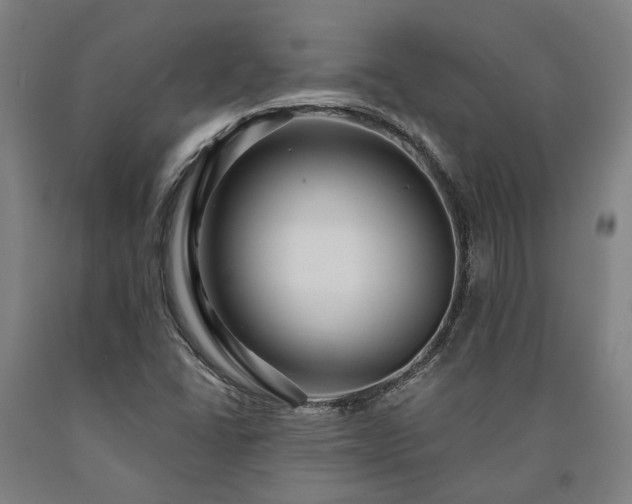 X0000090911406200707301424