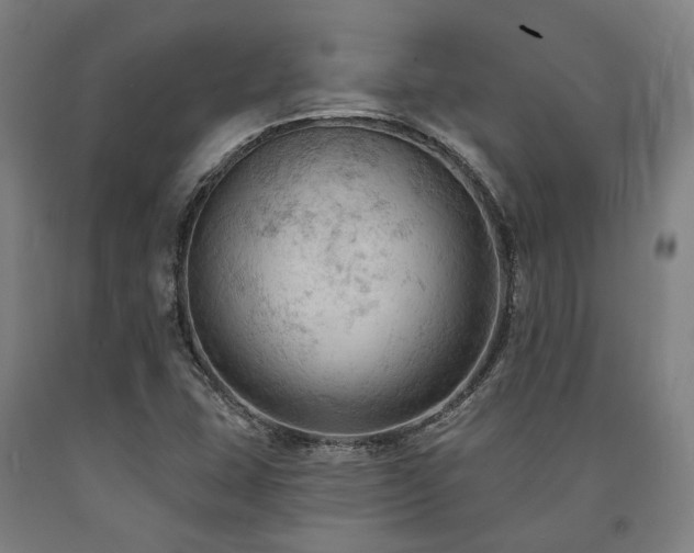 X0000090911407200707301424