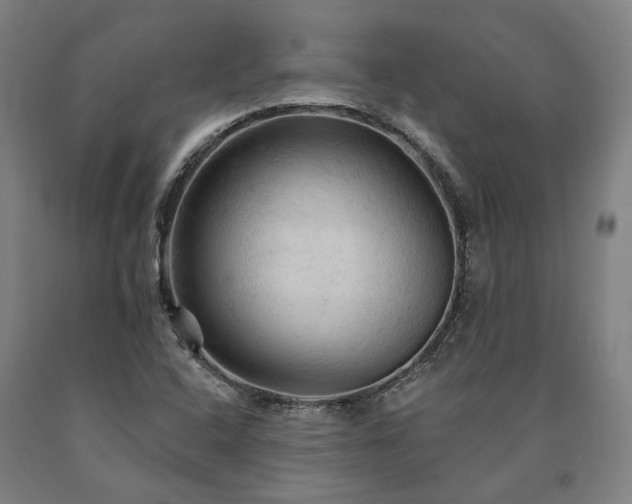 X0000090911408200707301424