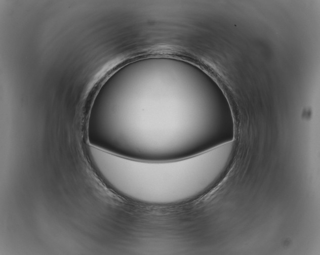 X0000090911410200707301424