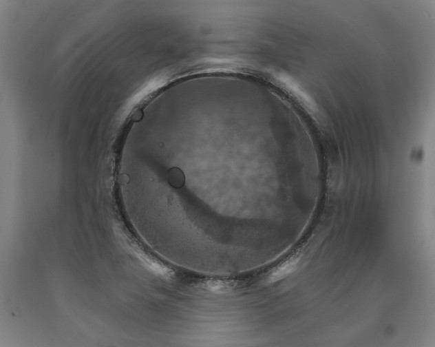 X0000090911411200707301424