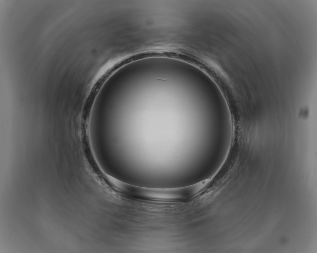 X0000090911412200707301424
