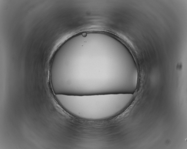 X0000090911413200707301424