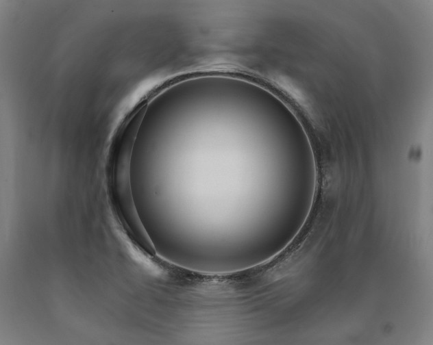 X0000090911414200707301424