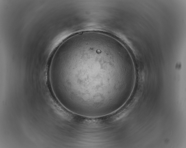 X0000090911415200707301424