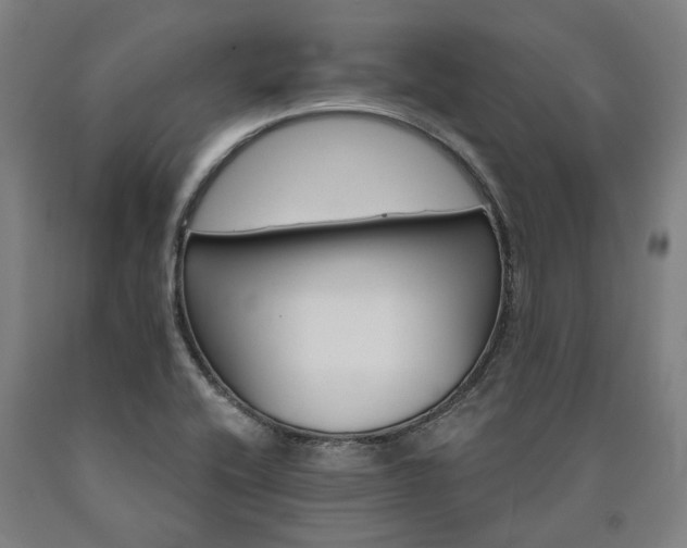 X0000090911416200707301424