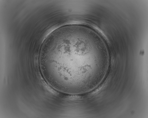 X0000090911417200707301424