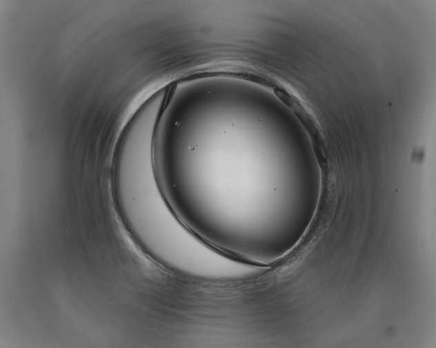 X0000090911418200707301424