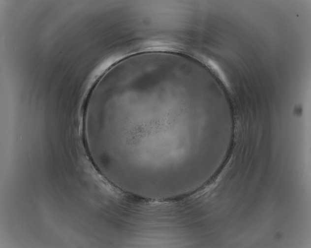 X0000090911419200707301424