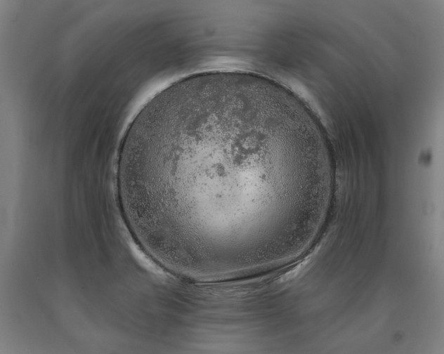 X0000090911421200707301424